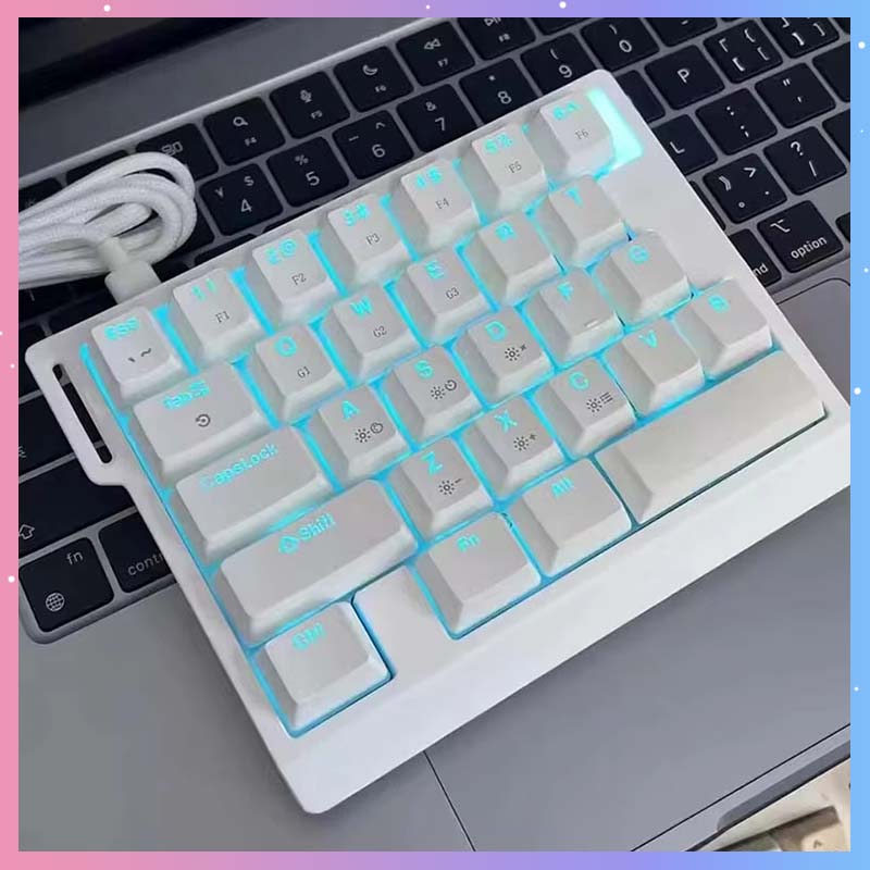 Gaming Keyboard Hand - HE30 Mechanische Gaming-Tastatur 29 Tasten Magnetischer